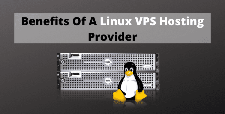 It is one of the best leading web hosting and domain registration companies based in India that provides you Linux VPS hosting plans to see benefits of Linux VPS hosting.