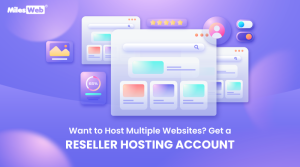 Want to Host Multiple Websites? Get a Reseller Hosting Account