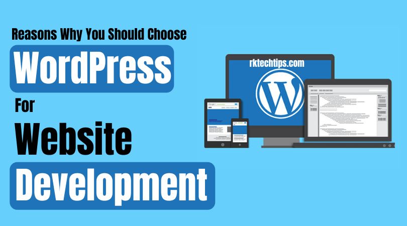 Reasons Why You Should Choose WordPress For Website Development