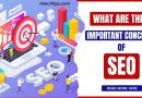 What Are The 4 Important Concepts Of SEO?