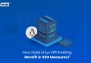 How Does Linux VPS Hosting Benefits in SEO Measures